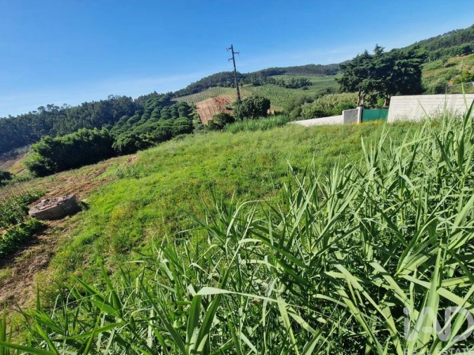 Terreno para Venda em Cadaval e Pêro Moniz Foto 17