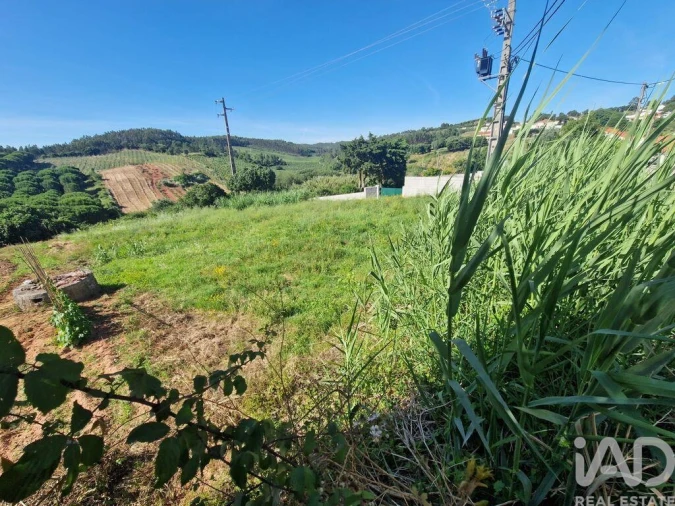 Terreno para Venda em Cadaval e Pêro Moniz Foto 22
