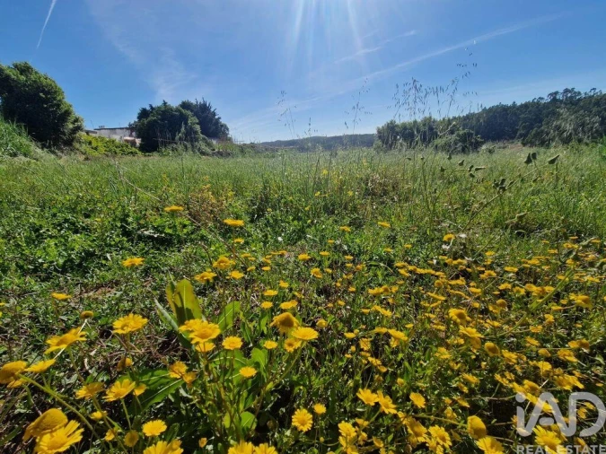 Terreno para Venda em Cadaval e Pêro Moniz Foto 19