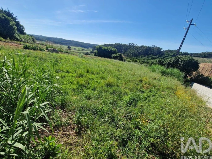 Terreno para Venda em Cadaval e Pêro Moniz Foto 20