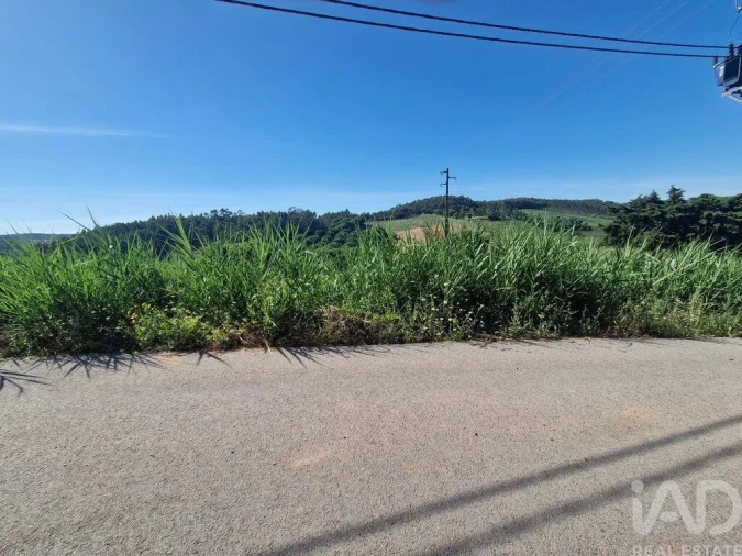 Terreno para Venda em Cadaval e Pêro Moniz Foto 18