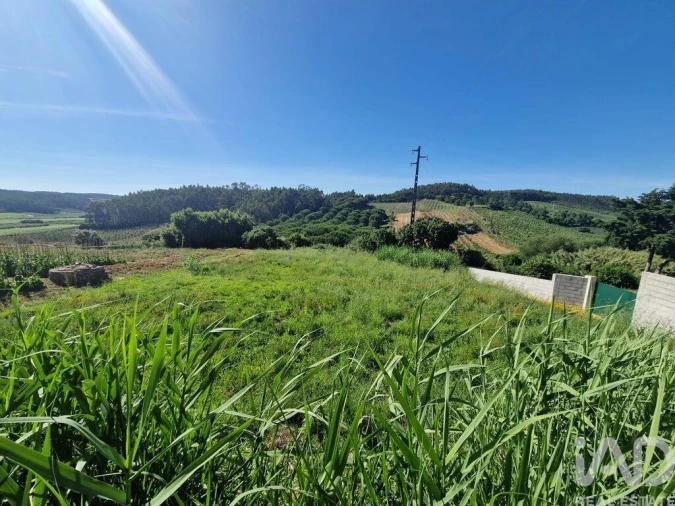 Terreno para Venda em Cadaval e Pêro Moniz Foto 21
