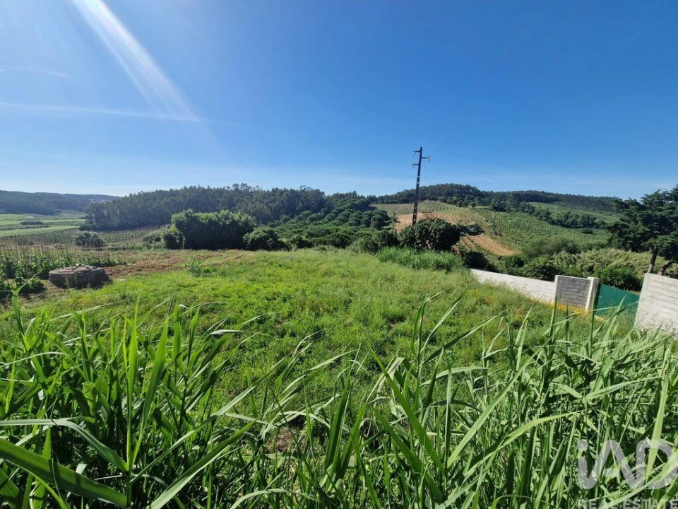 Terreno para Venda em Cadaval e Pêro Moniz Foto 21
