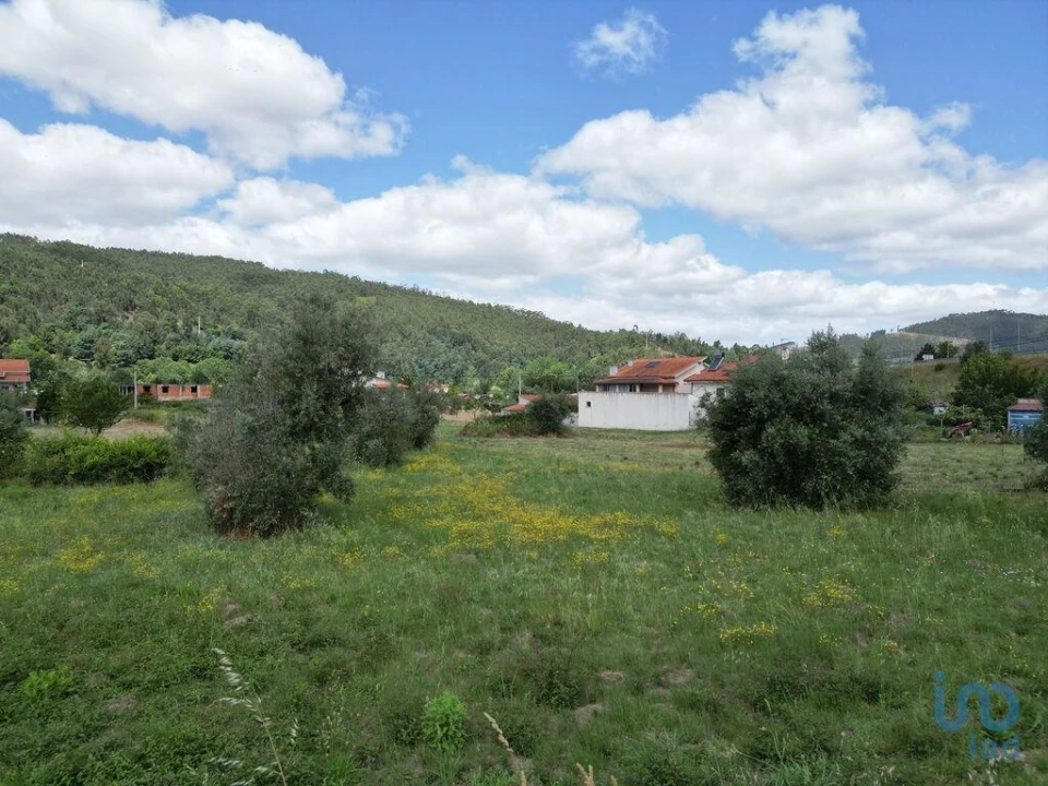 Terreno para Venda em Miranda do Corvo Foto 7