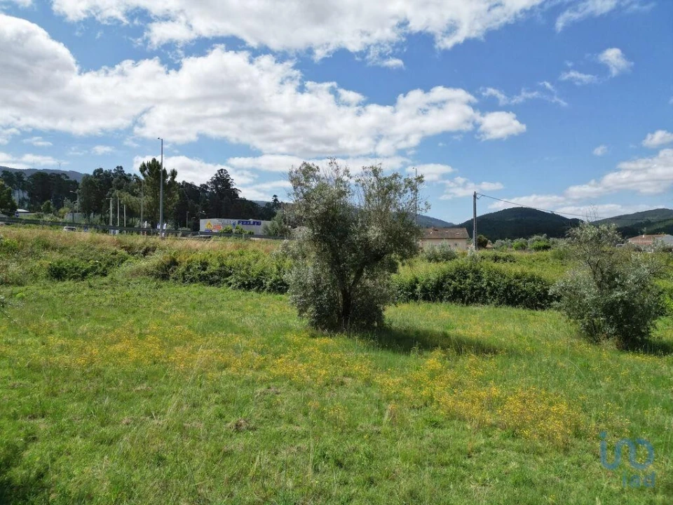 Terreno para Venda em Miranda do Corvo Foto 10