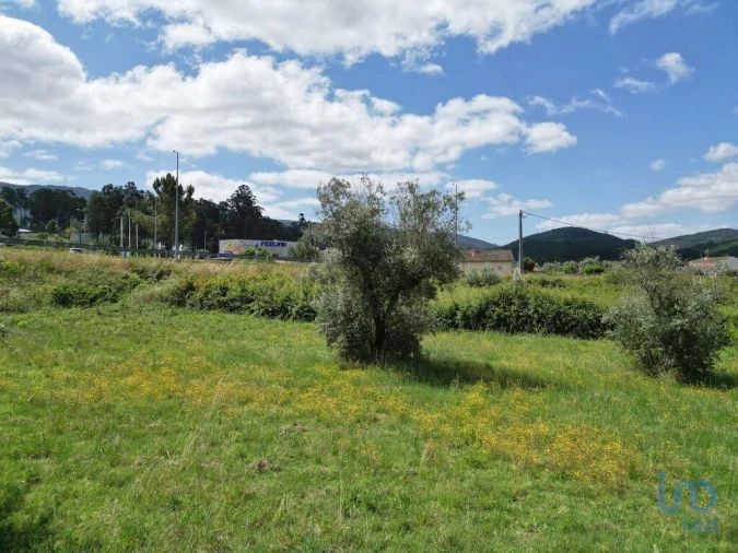 Terreno para Venda em Miranda do Corvo Foto 10