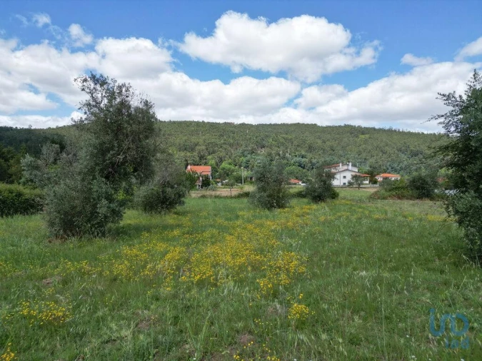 Terreno para Venda em Miranda do Corvo Foto 8