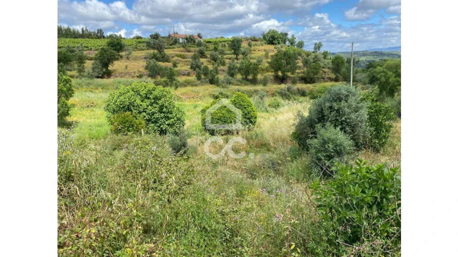 Moradia T2 para Venda em Gavião e Atalaia Foto 25