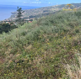 Terreno para Venda em Santa Cruz
