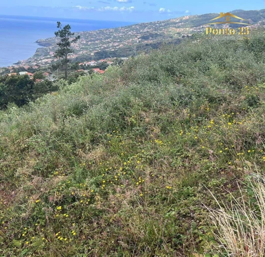 Terreno para Venda em Santa Cruz Foto 10