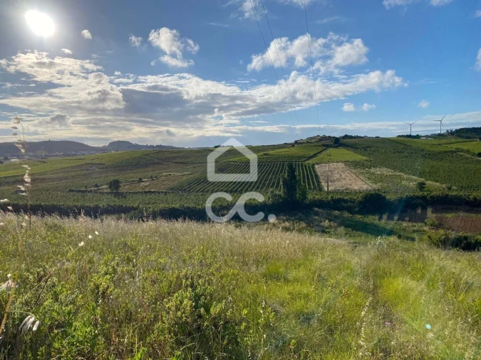 Terreno para Venda em Freiria