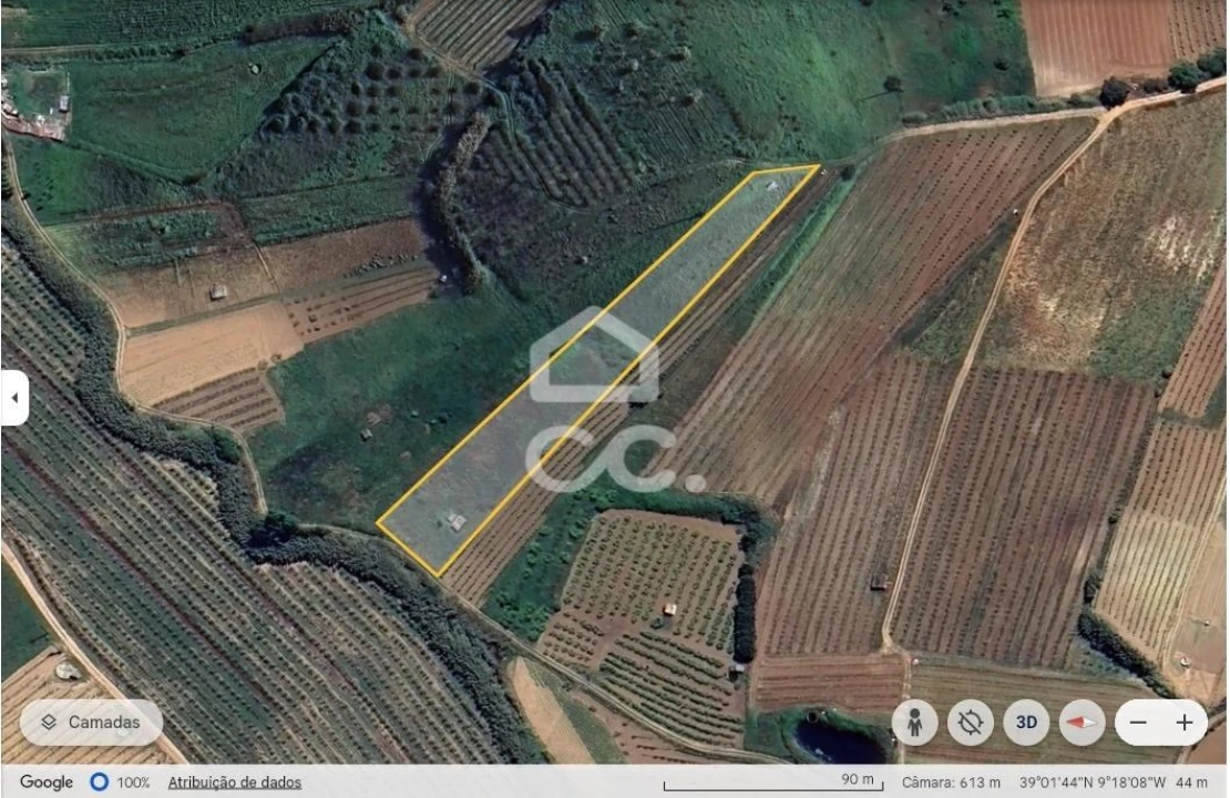 Terreno para Venda em Freiria Foto 2