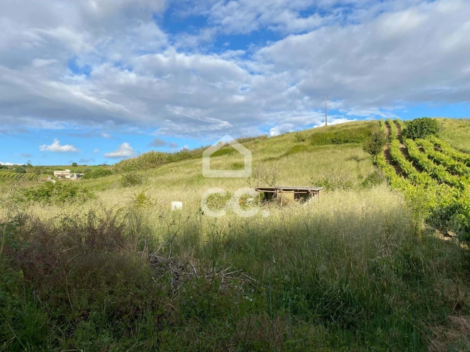 Terreno para Venda em Freiria Foto 3