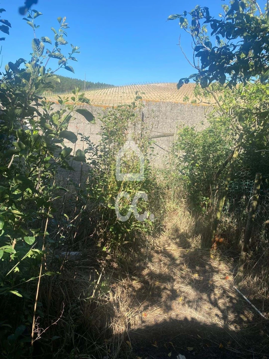 Moradia para Venda em Freiria Foto 5