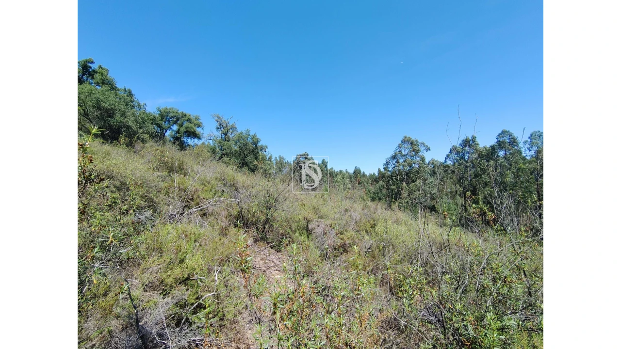 Terreno para Venda em Praia do Ribatejo Foto 1