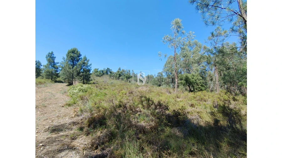 Terreno para Venda em Praia do Ribatejo Foto 2