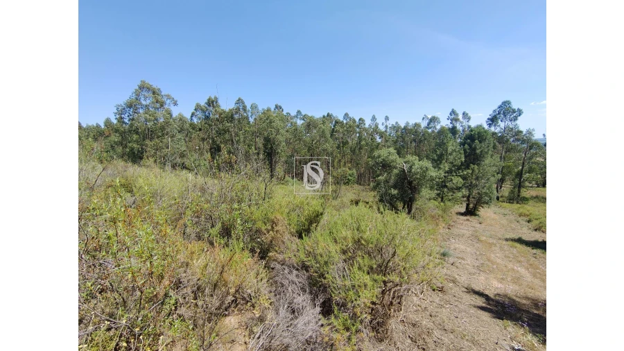 Terreno para Venda em Praia do Ribatejo Foto 3