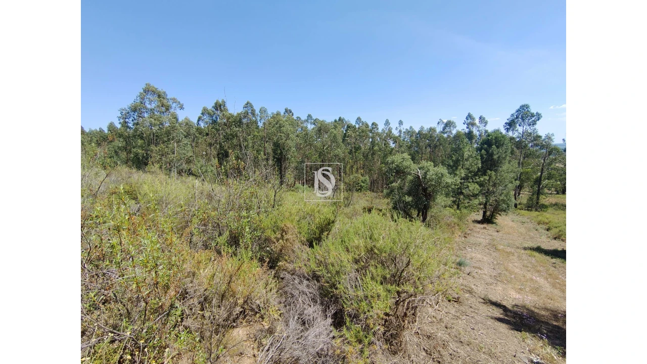 Terreno para Venda em Praia do Ribatejo Foto 3