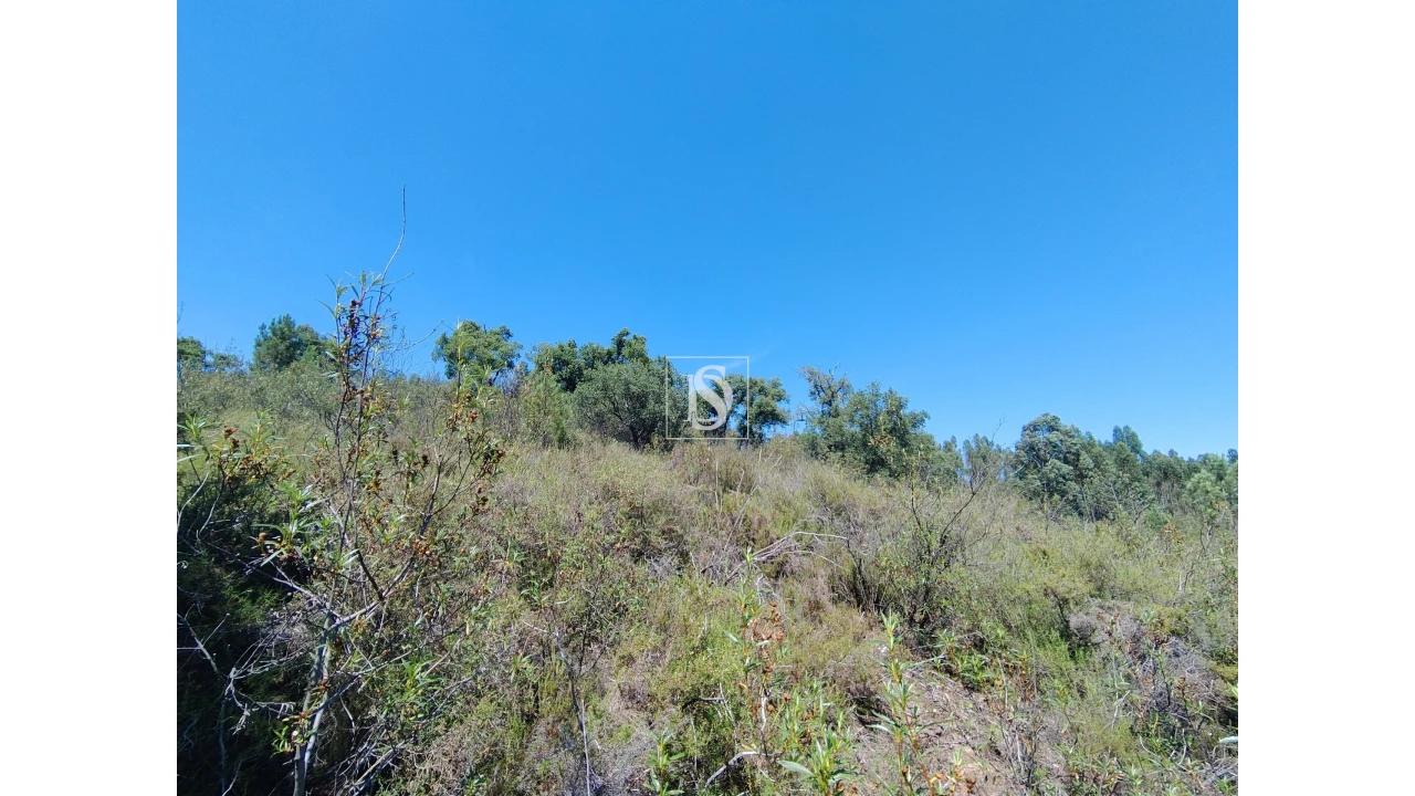 Terreno para Venda em Praia do Ribatejo Foto 4