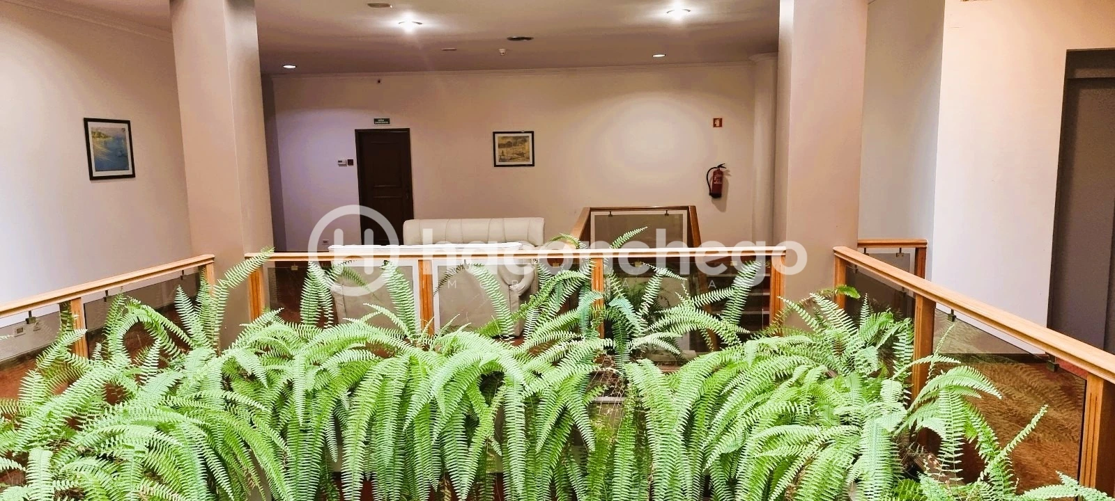 Negócio para Venda em Estela Foto 12