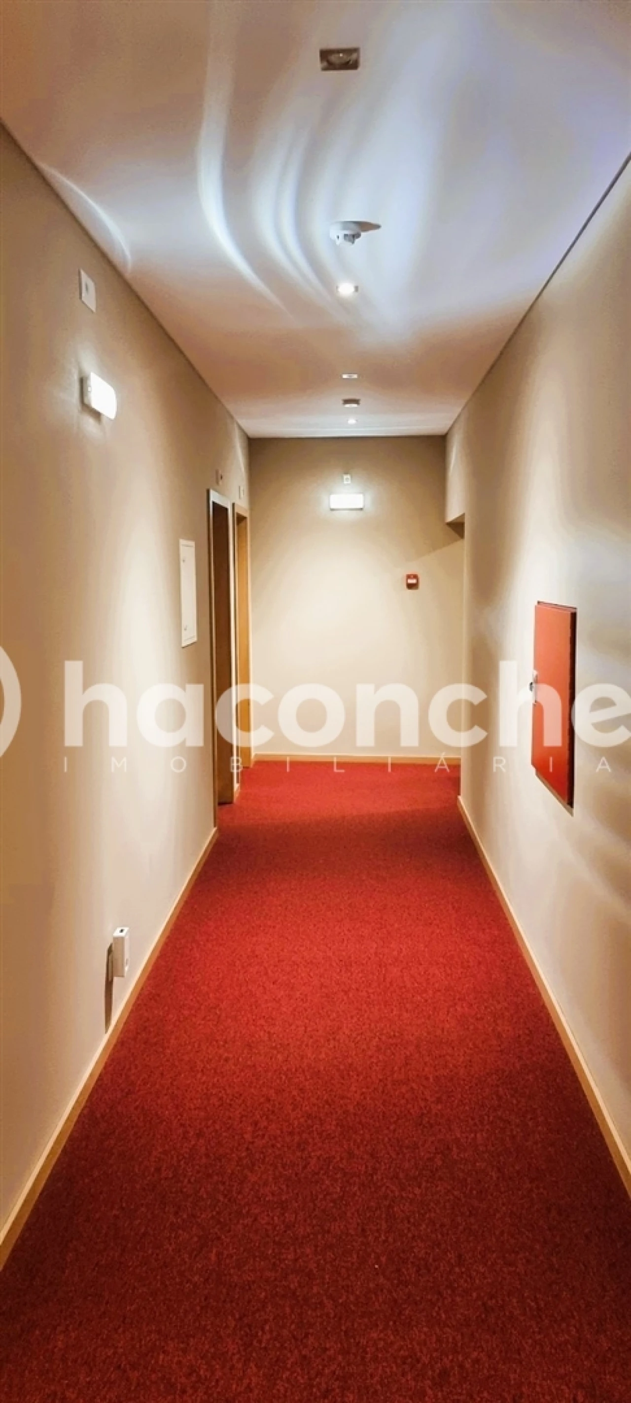 Negócio para Venda em Estela Foto 15