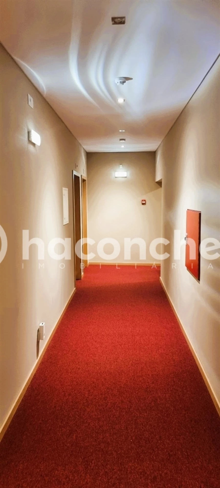 Negócio para Venda em Estela Foto 15