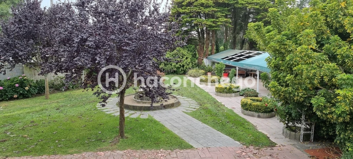 Negócio para Venda em Estela Foto 22