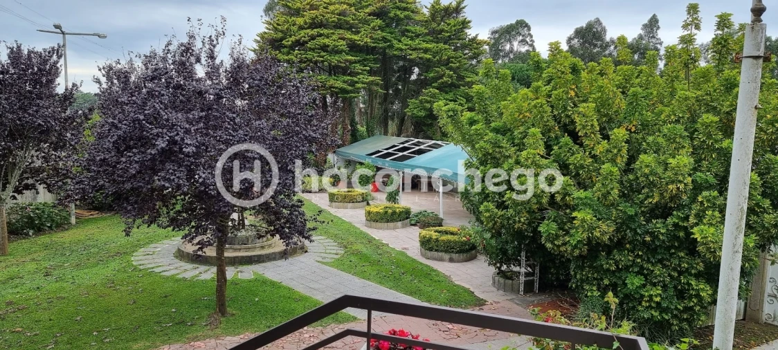 Negócio para Venda em Estela Foto 23