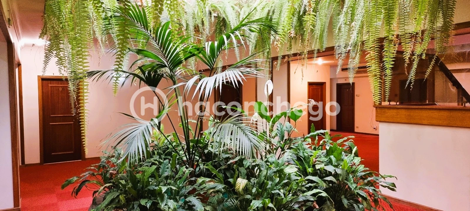 Negócio para Venda em Estela Foto 10