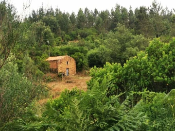 Quinta T8 para Venda em Sertã