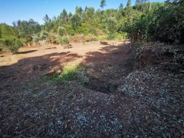 Quinta T8 para Venda em Sertã