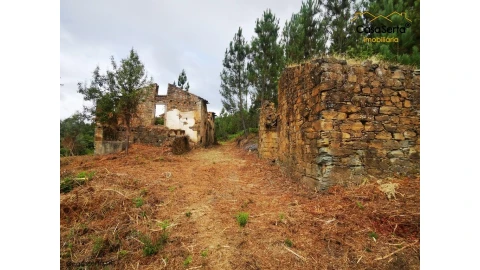 Quinta T8 para Venda em Sertã