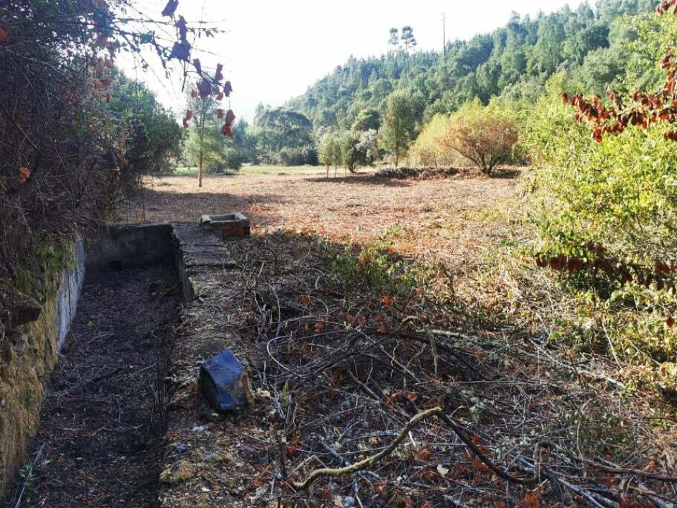 Quinta T8 para Venda em Sertã Foto 10