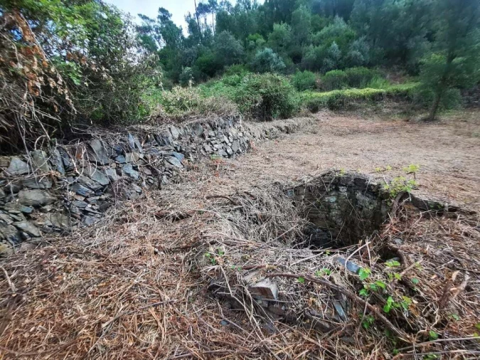 Quinta T8 para Venda em Sertã Foto 17
