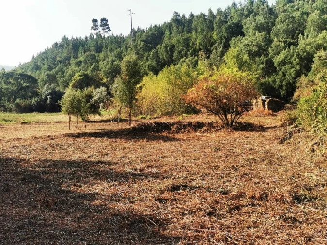 Quinta T8 para Venda em Sertã Foto 8