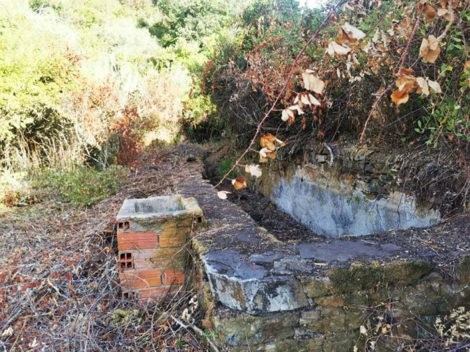 Quinta T8 para Venda em Sertã Foto 15