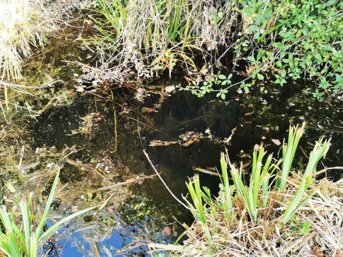 Quinta T8 para Venda em Sertã Foto 14