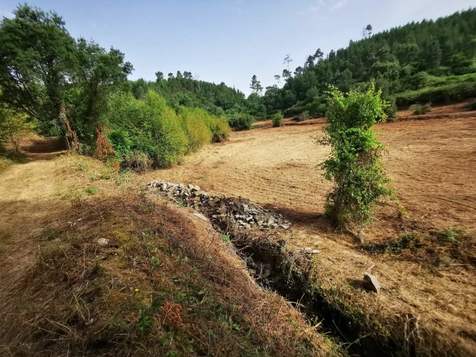Quinta T8 para Venda em Sertã Foto 16