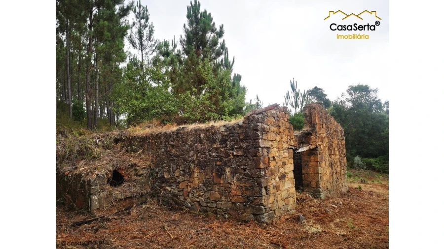 Quinta T8 para Venda em Sertã Foto 7