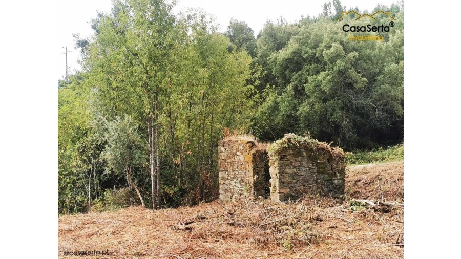 Quinta T8 para Venda em Sertã Foto 6