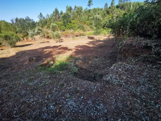 Quinta T8 para Venda em Sertã Foto 18