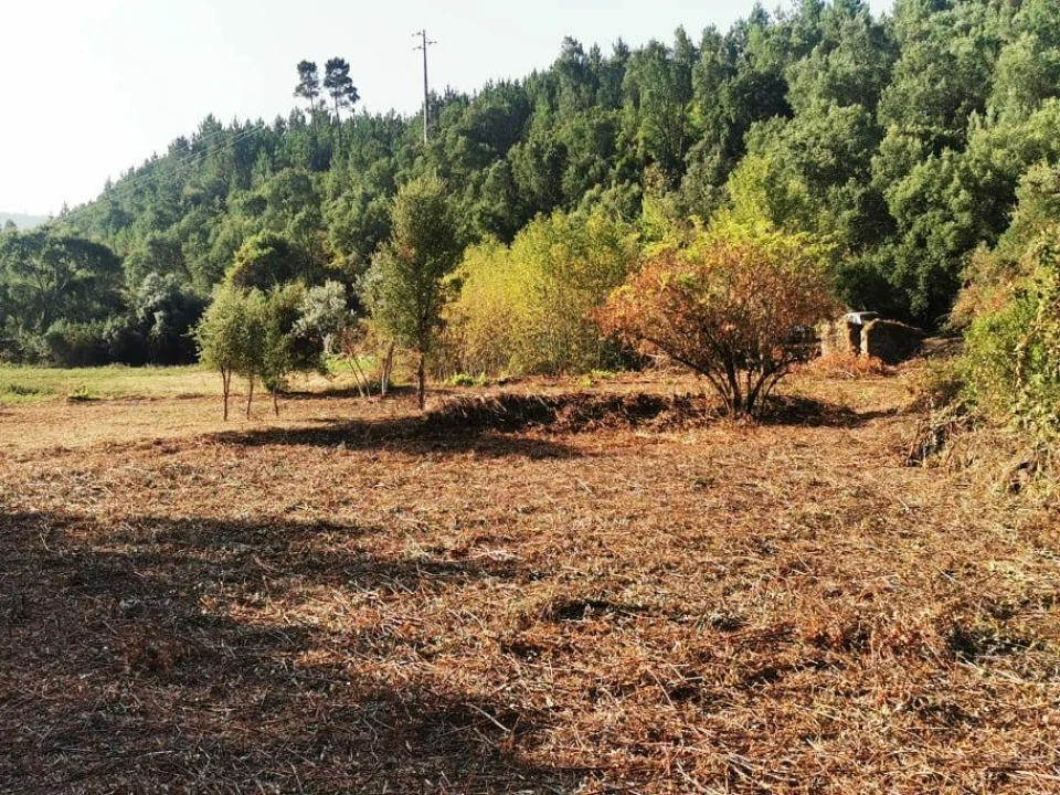 Quinta T8 para Venda em Sertã Foto 8