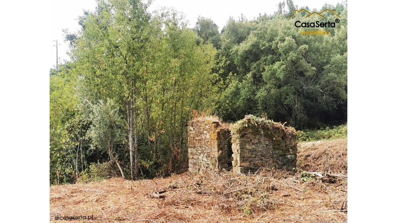 Quinta T8 para Venda em Sertã Foto 6