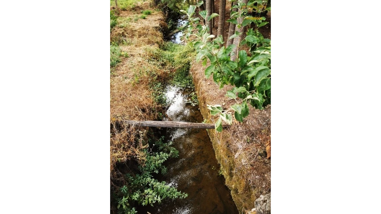 Quinta T8 para Venda em Sertã Foto 11