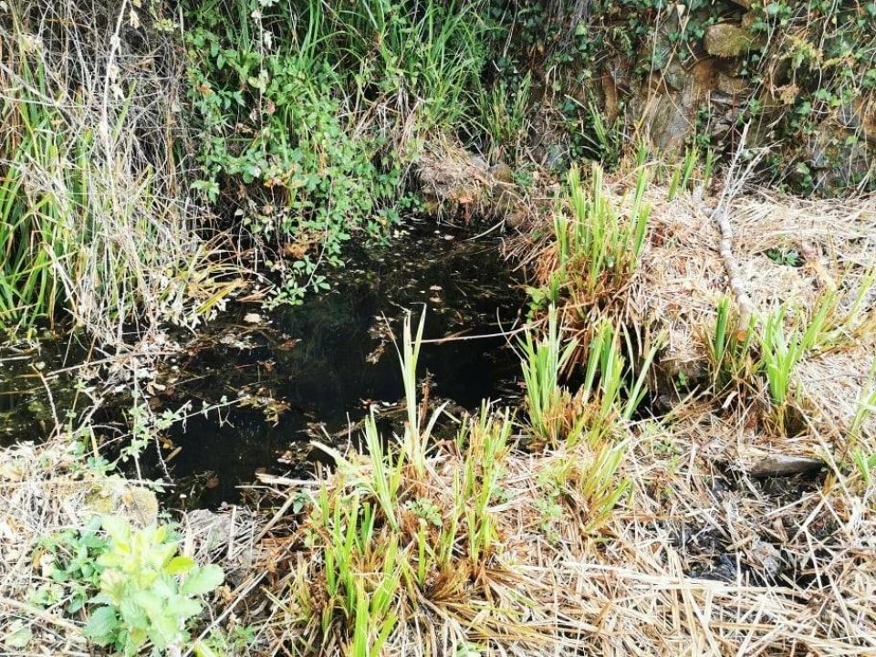 Quinta T8 para Venda em Sertã Foto 19