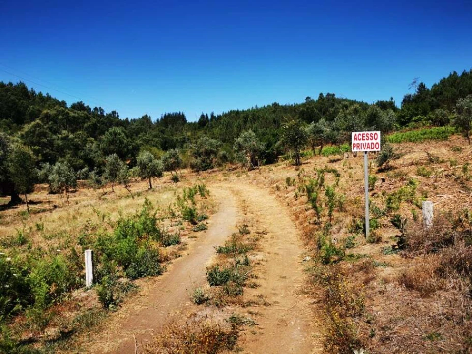Quinta T8 para Venda em Sertã Foto 1