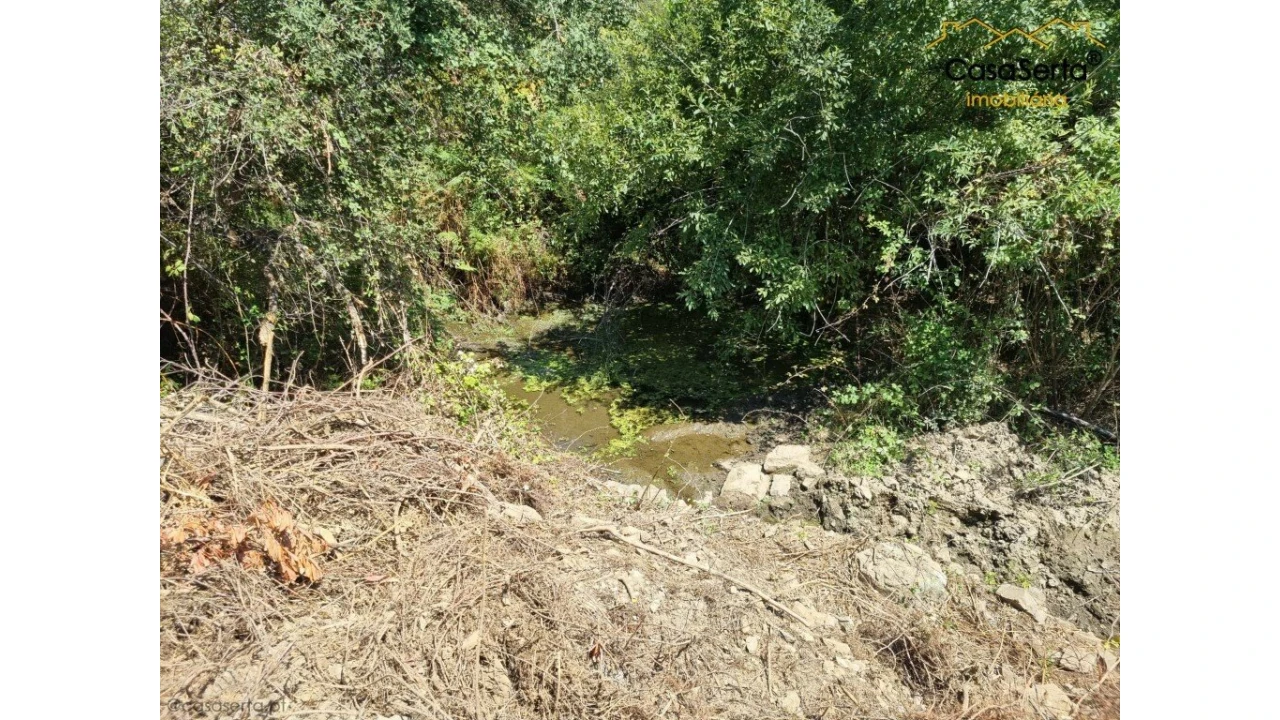 Quinta T0 para Venda em Sertã Foto 14