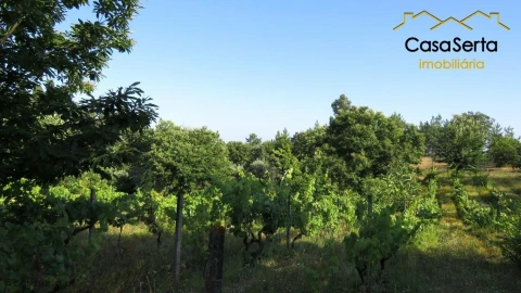 Quinta T2 para Venda em Sertã