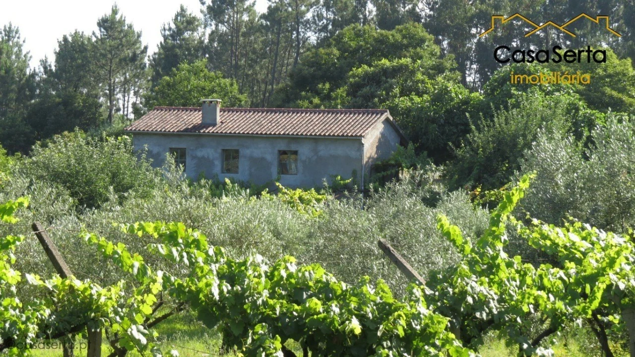 Quinta T2 para Venda em Sertã Foto 1