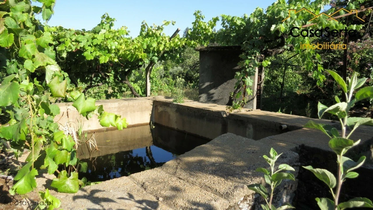 Quinta T2 para Venda em Sertã Foto 2